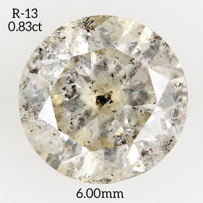 R13 - Salt and pepper round diamond