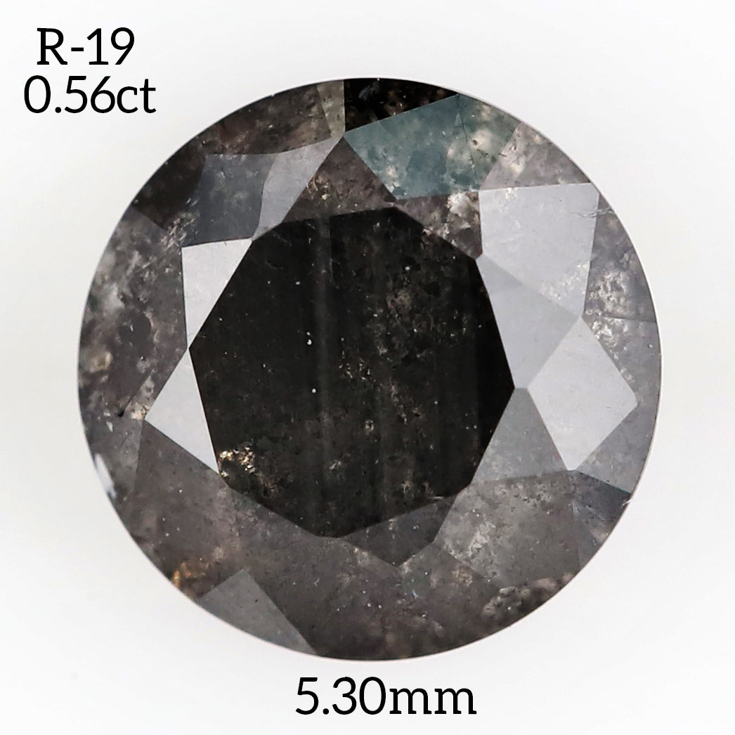 R19 - Salt and pepper round diamond