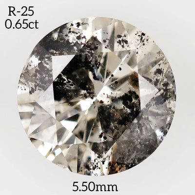 R25 - Salt and pepper round diamond