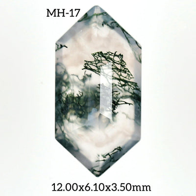 MH - 17 Moss Agate Hexagon Gemstone - Rubysta
