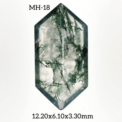 MH - 18 Moss Agate Hexagon Gemstone - Rubysta