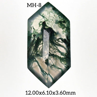 MH - 8 Moss Agate Hexagon Gemstone - Rubysta