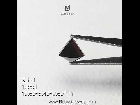 KB1 - Black kite diamond